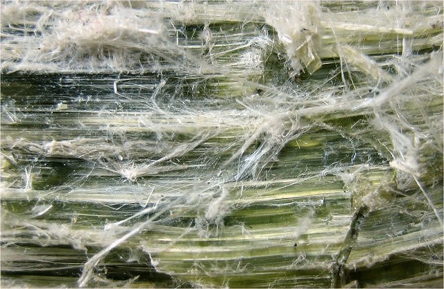 Asbestos - Green Fibers