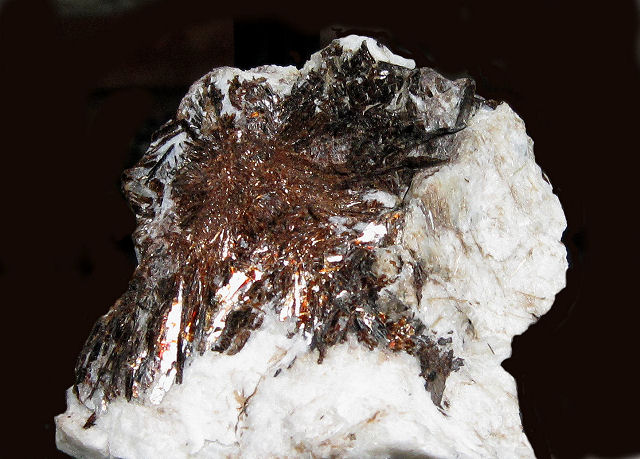 astrophyllite-radiating brown crystals