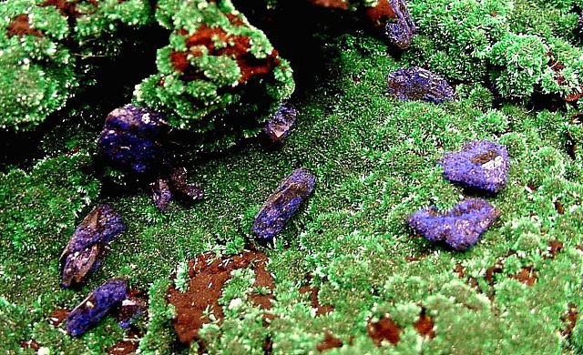 azurite-blue crystals on green malachite-Bisbee