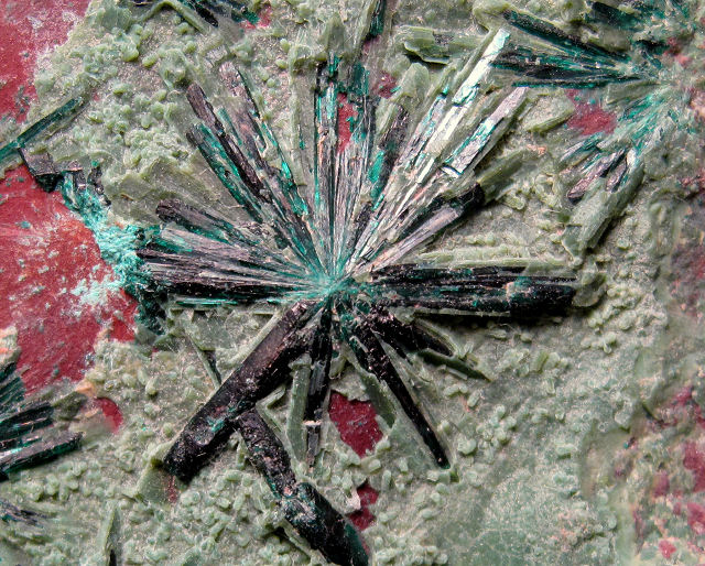 brochantite- single flat radiating bluish green crystals
