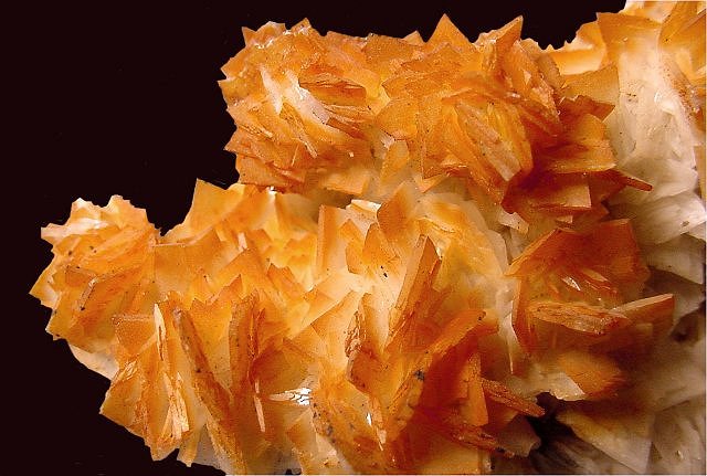 Calcite - Crystals - Dark Yellow