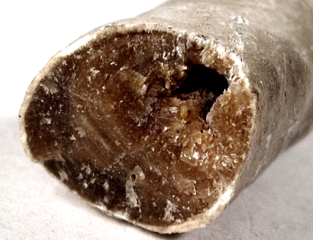 Calcite - Stalactite - End View
