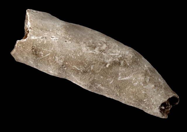 calcite-stalactite-light brown