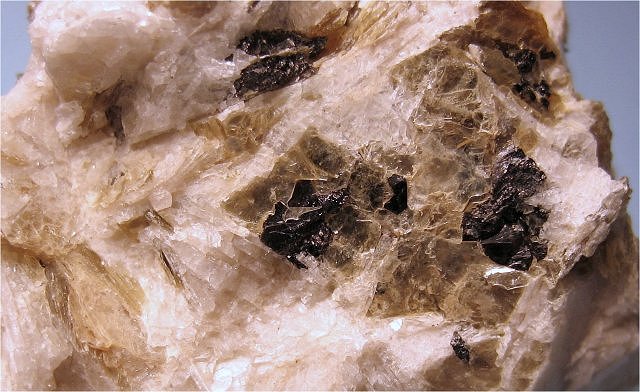 cassiterite-black grains in white and brown matrix-close view