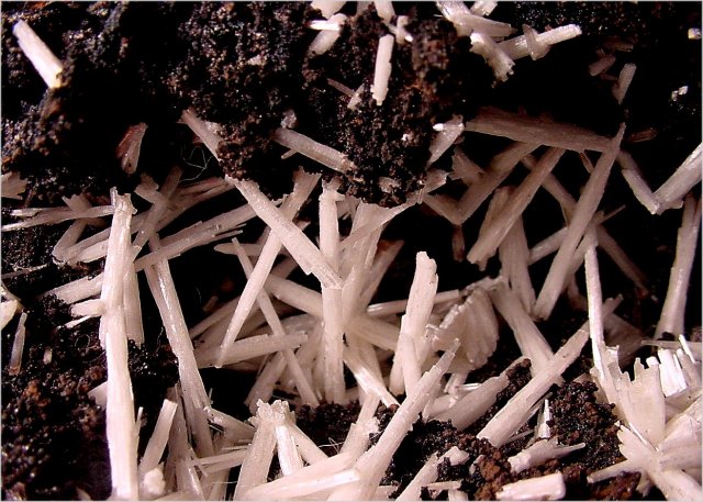 cerussite-white jackstraw crystals-Arizona