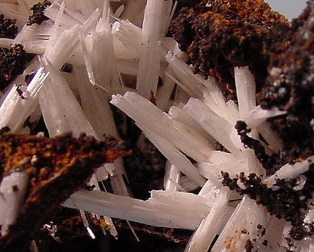 Cerussite - White Jackstraw Crystals - Close View - Arizona