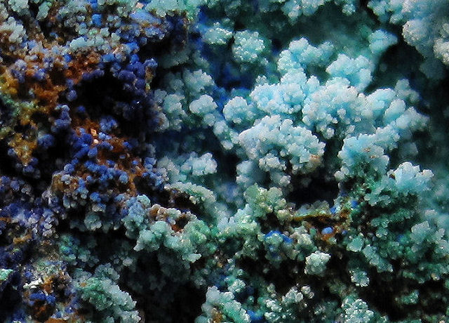 chalcanthite-light and dark blue growths-close view