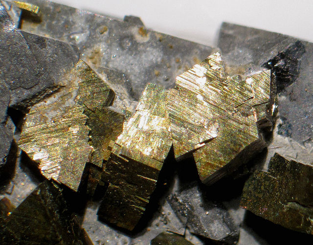 chalcopyrite-yellow brassy crystals with gray galena