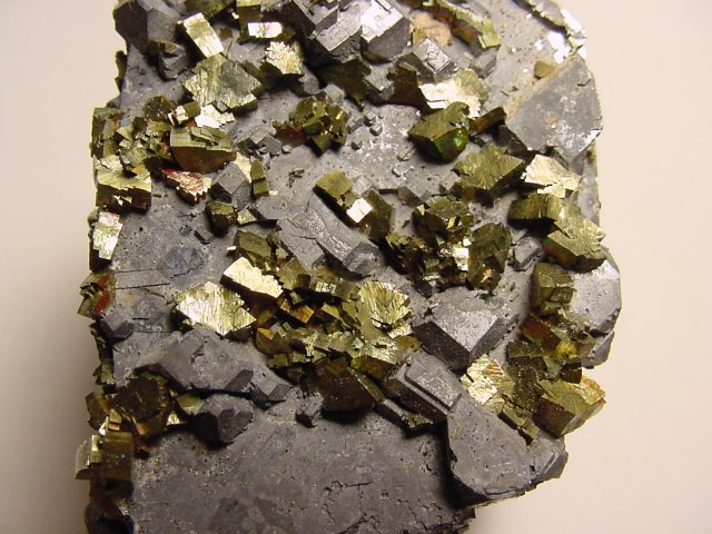 chalcopyrite-yellow metallic crystals on gray galena