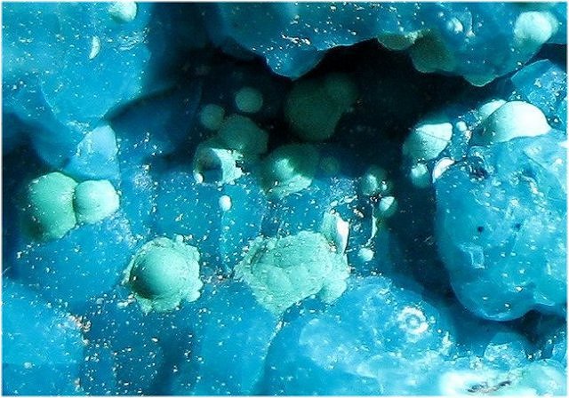 Chrysocolla - Blue - Botryoidal - Courtland Arizona