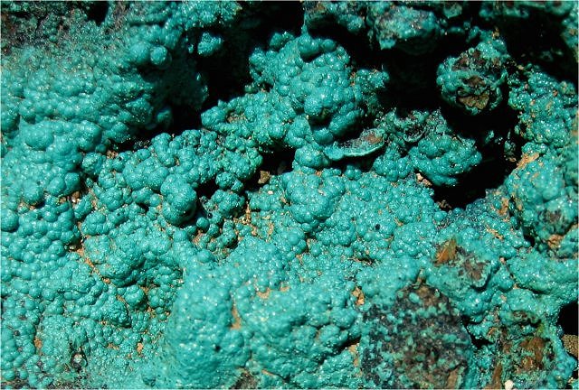 Chrysocolla - Greenish Blue – Botryoidal