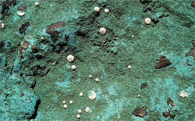 chrysocolla-pale green coating