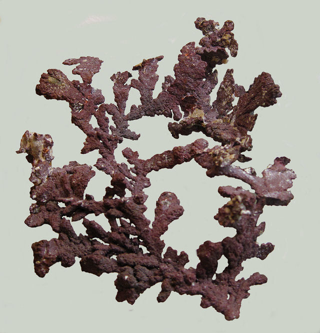 Copper - Arborescent Copper