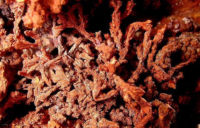 copper-crystallized copper-Bisbee