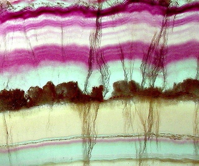 fluorite-banded-multicolored-Argentina