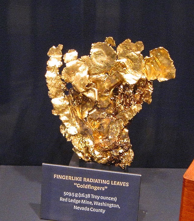 gold--thin leaves-Nevada