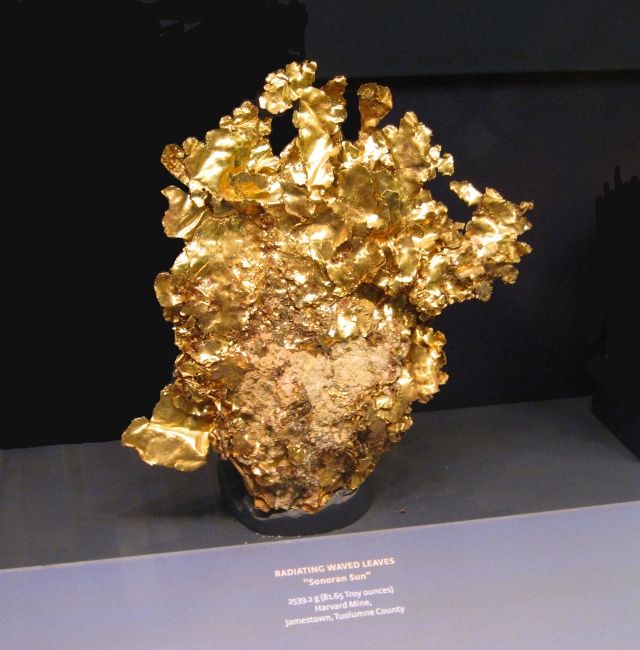 gold--thin leaves-Nevada