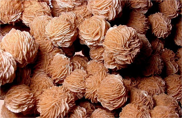 gypsum-desert rose crystal clusters