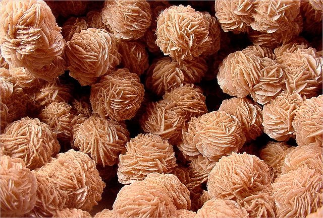 gypsum-desert rose crystal clusters