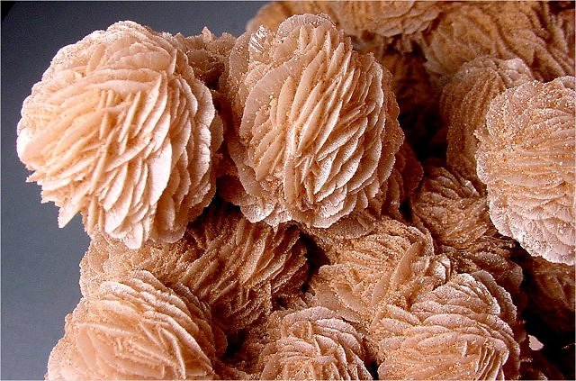 gypsum-desert rose crystal clusters