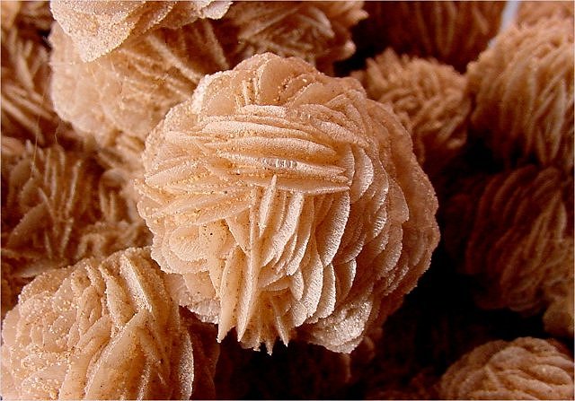gypsum-desert rose crystal clusters