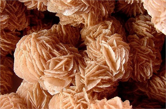 gypsum-desert rose crystal clusters