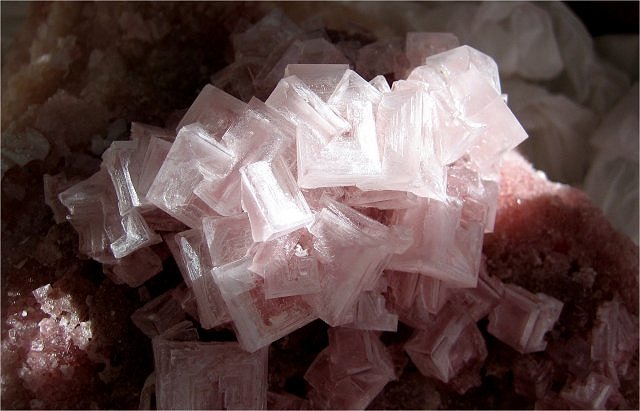 halite-cluster of pink saltcrystals-California