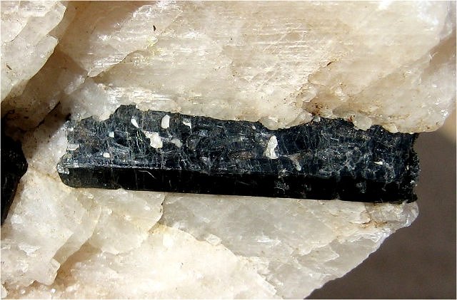 hornblende-black elongated crystal in white feldspar