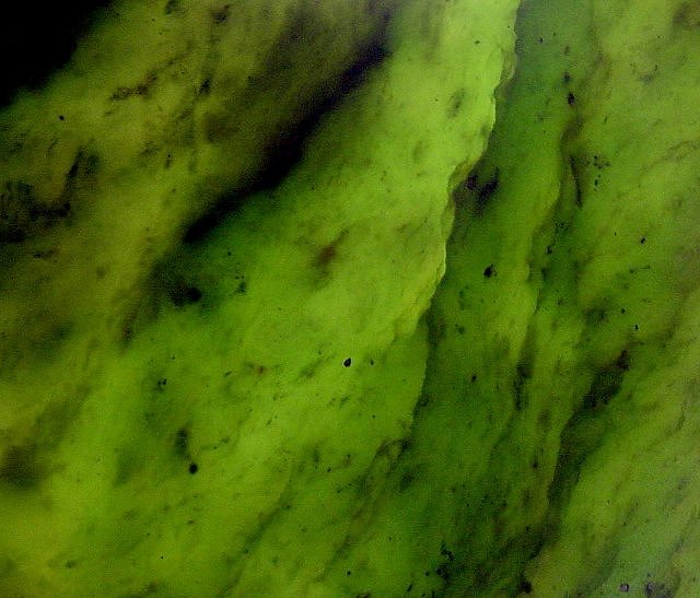 jade-green bands-cut translucent slab