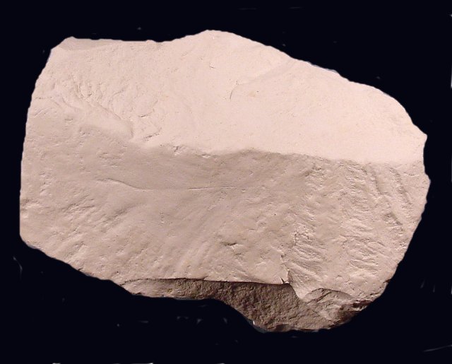kaolinite-white clay