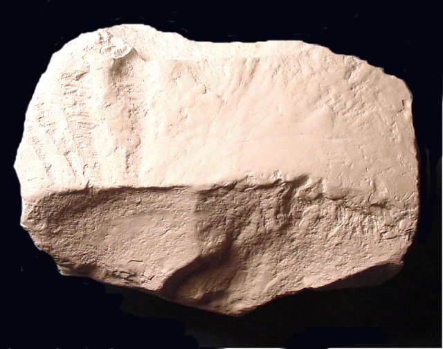 kaolinite-white clay