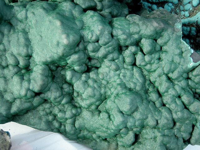 malachite-green-botryoidal-Africa-3225