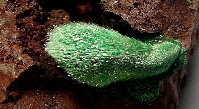 malachite-green-cluster of acicular crystals-Bisbee-1a