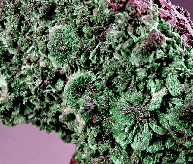 malachite-green-clusters of radiating crystals-Bisbee-148