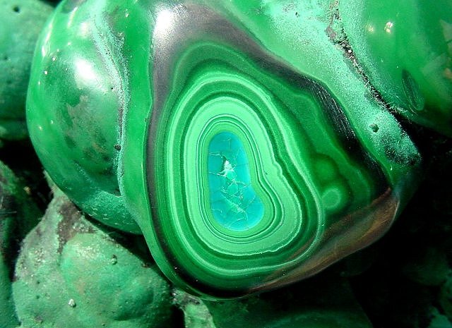 malachite-green-polished surface with blue chrysocolla-Africa-11
