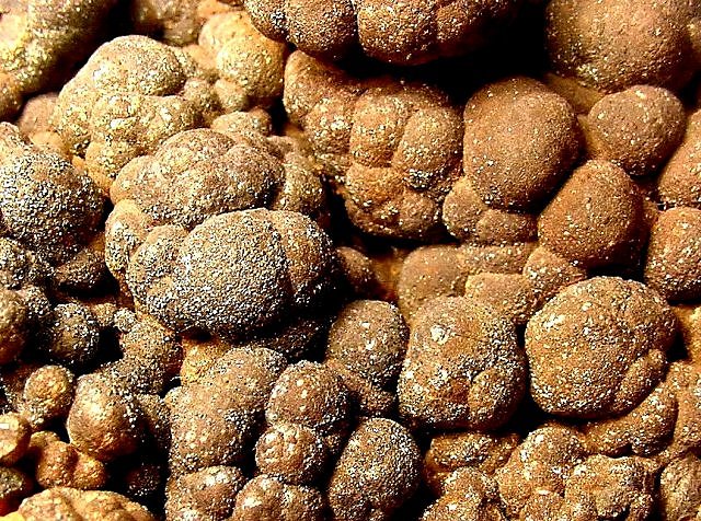 marcasite-brown-botryoidal-1