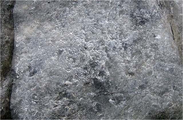montmorillonite-close view of light gray clay-221b