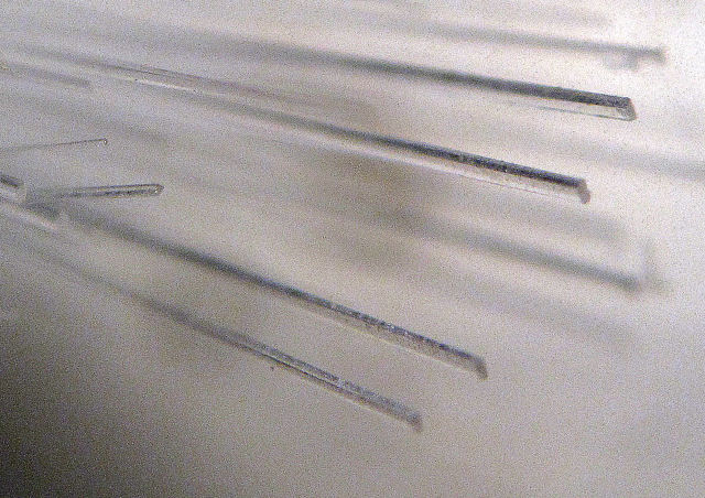 natrolite-acicular crystals-microscopic view-