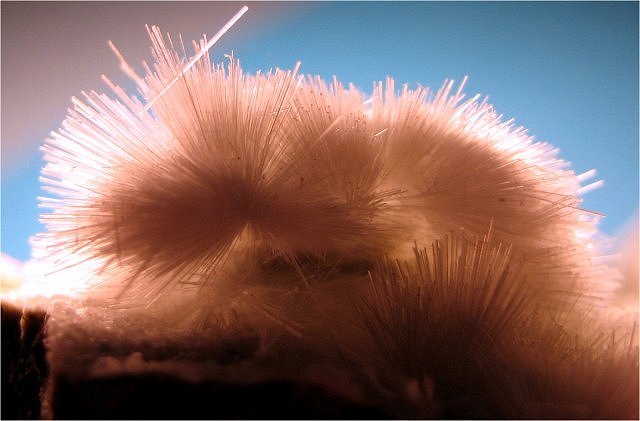 okenite-light pink radiating cluster of hair-thin crystals