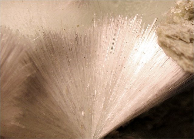 okenite-white radiating cluster of hair-thin crystals