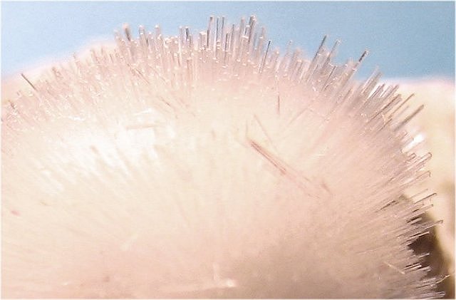 okenite-white radiating cluster of hair-thin crystals