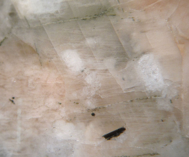 orthoclase-light gray in granite-microscopic view