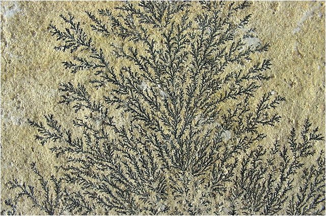 psilomelane black dendrites