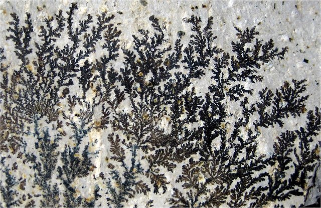 psilomelane black dendrites
