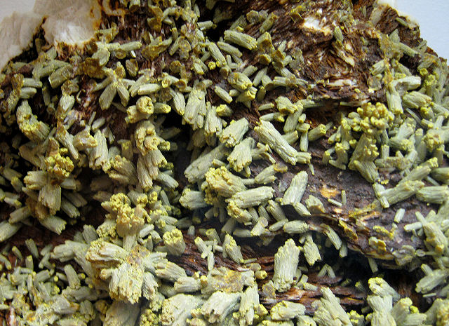 pyromorphite-light green crystals