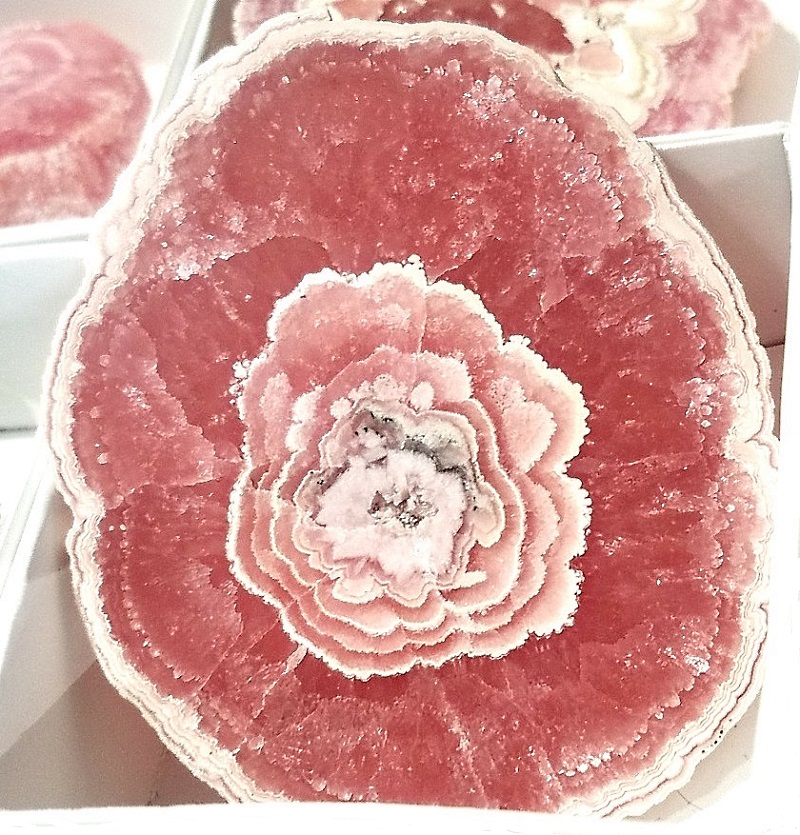 Rhodochrosite Pink Section Of A Stalactite Argentina