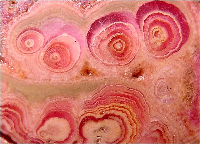 Rhodochrosite Pink Section Of A Stalactite Argentina