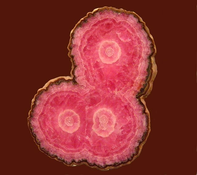 Rhodochrosite Pink Section of a Stalactite Argentina