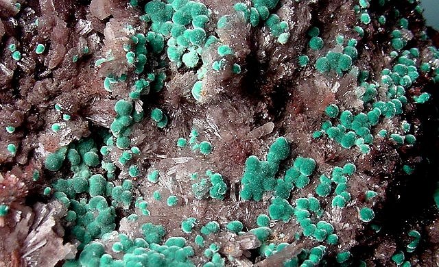 rosasite-pale green-botryoidal-with hemimorphite