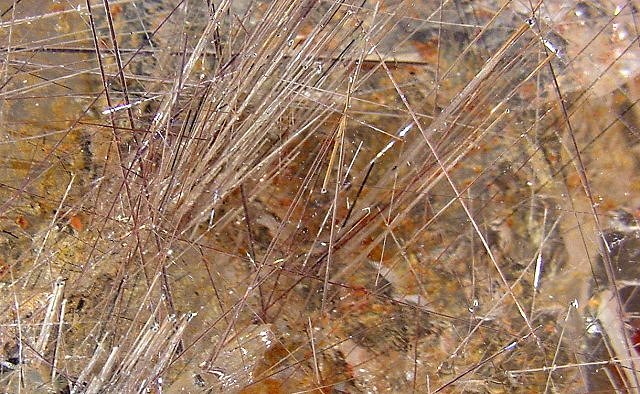 Rutile - Steel Gray Needle-Like Crystals Embedded In Clear Quartz